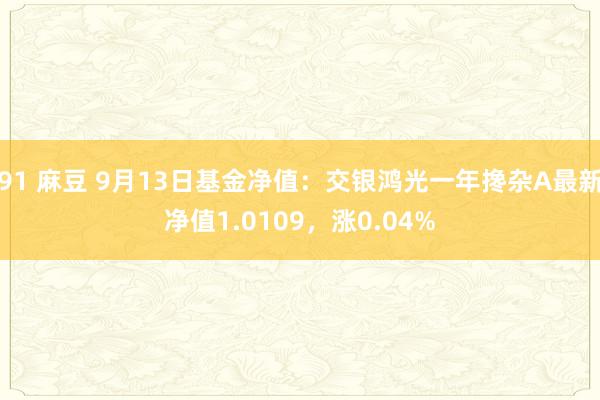 91 麻豆 9月13日基金净值：交银鸿光一年搀杂A最新净值1.0109，涨0.04%