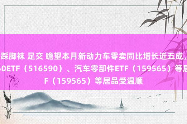 踩脚袜 足交 瞻望本月新动力车零卖同比增长近五成,智能汽车50ETF(516590)、汽车零部件ETF(159565)等居品受温顺