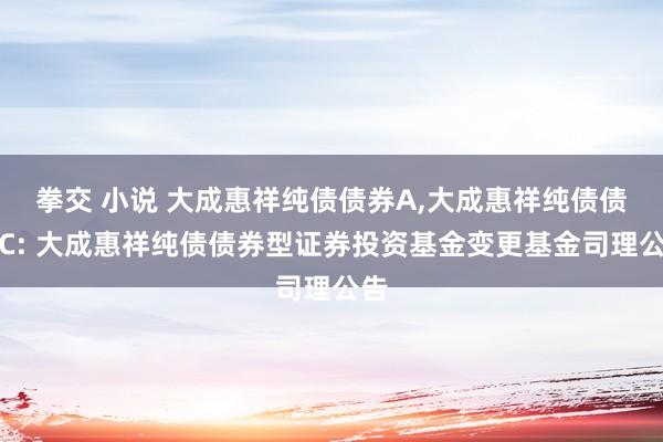 拳交 小说 大成惠祥纯债债券A,大成惠祥纯债债券C: 大成惠祥纯债债券型证券投资基金变更基金司理公告