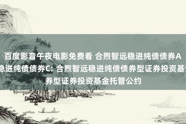 百度影音午夜电影免费看 合煦智远稳进纯债债券A,合煦智远稳进纯债债券C: 合煦智远稳进纯债债券型证券投资基金托管公约