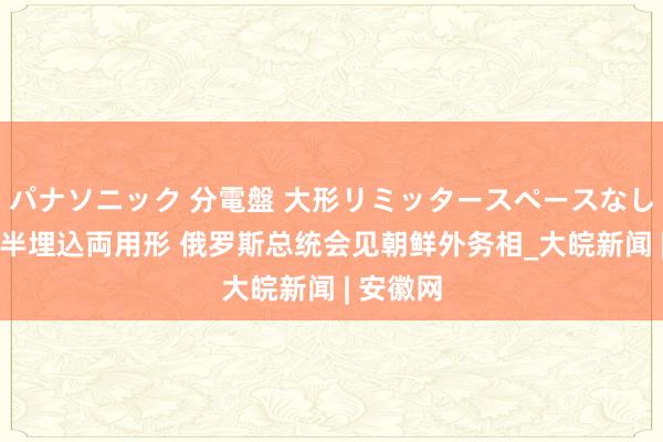 パナソニック 分電盤 大形リミッタースペースなし 露出・半埋込両用形 俄罗斯总统会见朝鲜外务相_大皖新闻 | 安徽网