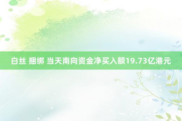白丝 捆绑 当天南向资金净买入额19.73亿港元