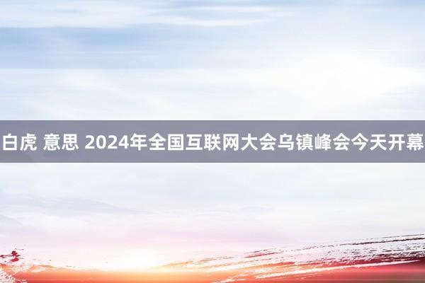 白虎 意思 2024年全国互联网大会乌镇峰会今天开幕