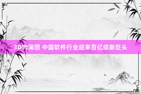 3D肉蒲团 中国软件行业迎来百亿级新巨头