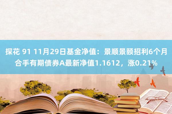 探花 91 11月29日基金净值：景顺景颐招利6个月合手有期债券A最新净值1.1612，涨0.21%