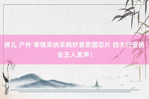 婷儿 户外 审慎采纳采购好意思国芯片 四大行业协会王人发声！