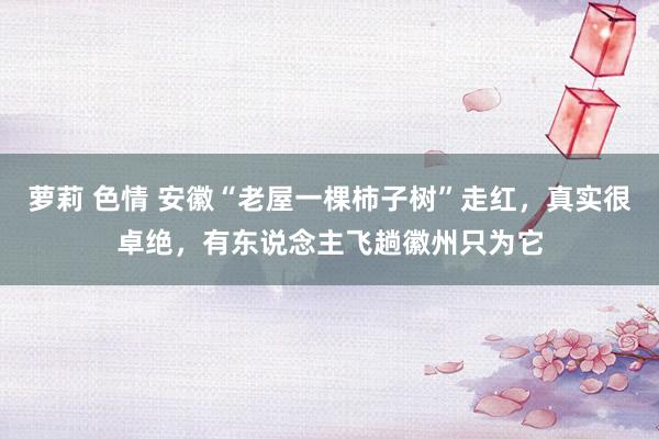 萝莉 色情 安徽“老屋一棵柿子树”走红，真实很卓绝，有东说念主飞趟徽州只为它
