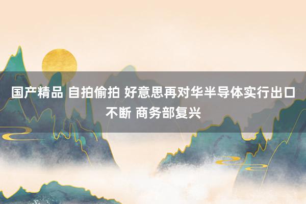 国产精品 自拍偷拍 好意思再对华半导体实行出口不断 商务部复兴