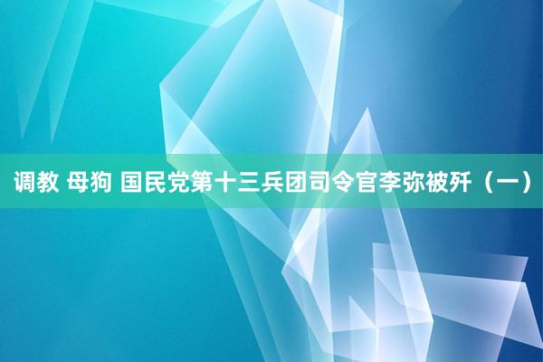 调教 母狗 国民党第十三兵团司令官李弥被歼（一）