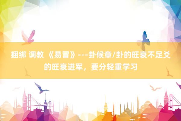 捆绑 调教 《易冒》---卦候章/卦的旺衰不足爻的旺衰进军，要分轻重学习