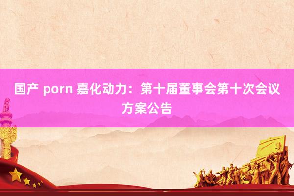 国产 porn 嘉化动力：第十届董事会第十次会议方案公告