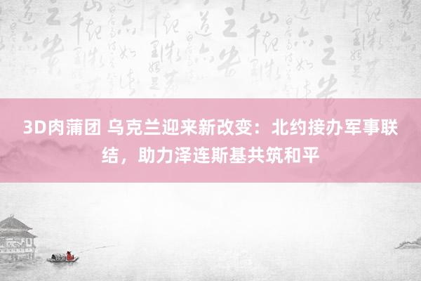 3D肉蒲团 乌克兰迎来新改变：北约接办军事联结，助力泽连斯基共筑和平