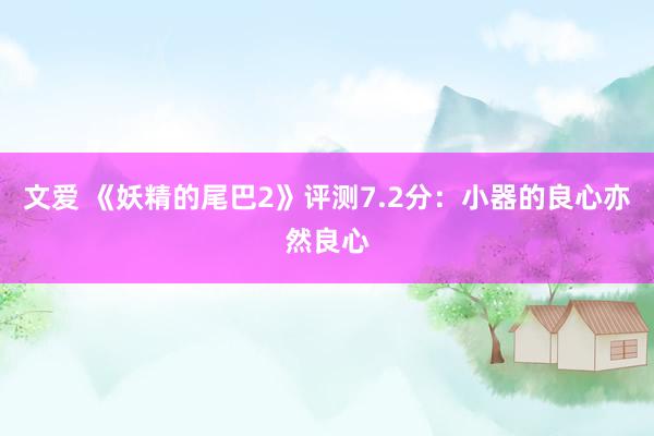 文爱 《妖精的尾巴2》评测7.2分：小器的良心亦然良心