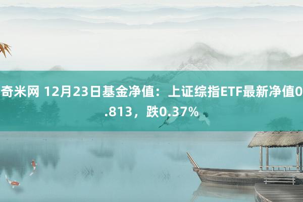 奇米网 12月23日基金净值：上证综指ETF最新净值0.813，跌0.37%