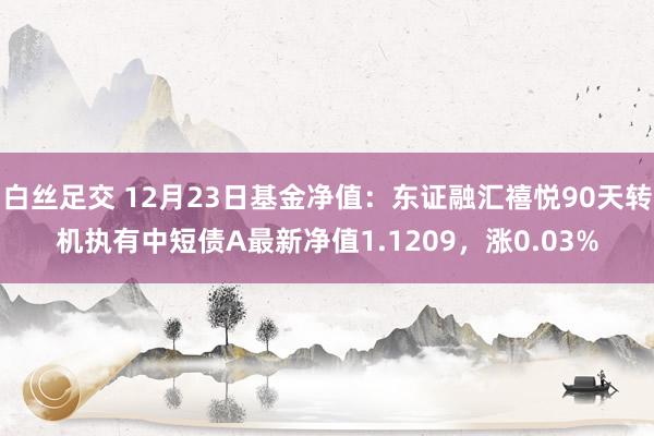 白丝足交 12月23日基金净值：东证融汇禧悦90天转机执有中短债A最新净值1.1209，涨0.03%