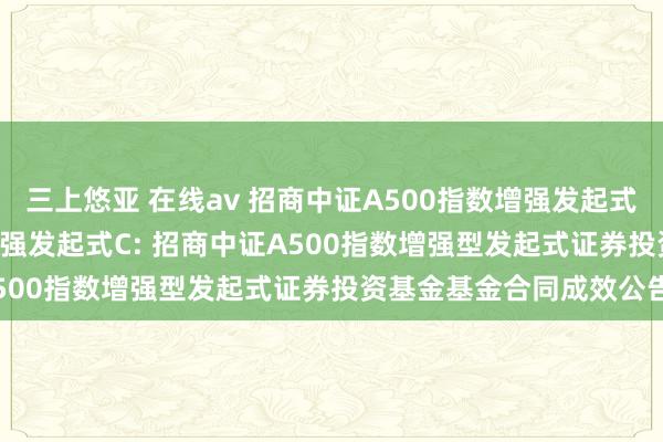 三上悠亚 在线av 招商中证A500指数增强发起式A，招商中证A500指数增强发起式C: 招商中证A500指数增强型发起式证券投资基金基金合同成效公告
