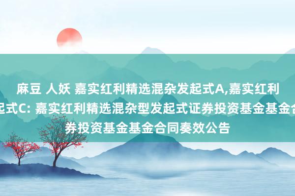 麻豆 人妖 嘉实红利精选混杂发起式A,嘉实红利精选混杂发起式C: 嘉实红利精选混杂型发起式证券投资基金基金合同奏效公告