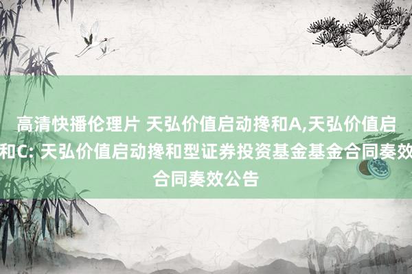 高清快播伦理片 天弘价值启动搀和A,天弘价值启动搀和C: 天弘价值启动搀和型证券投资基金基金合同奏效公告