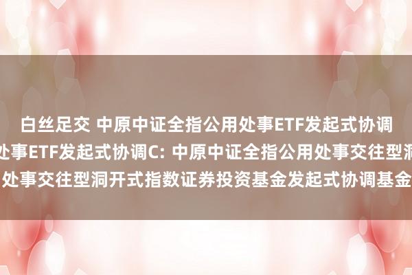 白丝足交 中原中证全指公用处事ETF发起式协调A,中原中证全指公用处事ETF发起式协调C: 中原中证全指公用处事交往型洞开式指数证券投资基金发起式协调基金基金合同收效公告