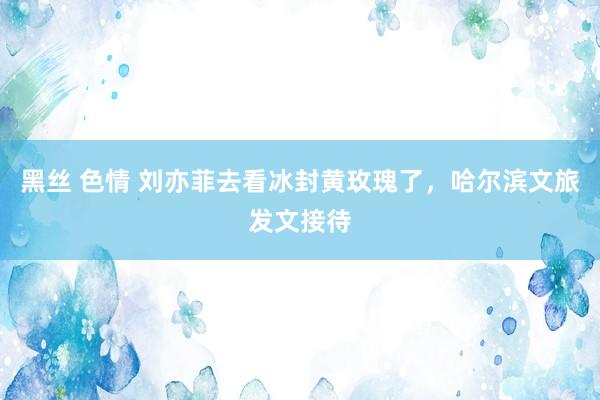 黑丝 色情 刘亦菲去看冰封黄玫瑰了，哈尔滨文旅发文接待