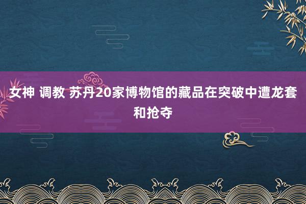 女神 调教 苏丹20家博物馆的藏品在突破中遭龙套和抢夺