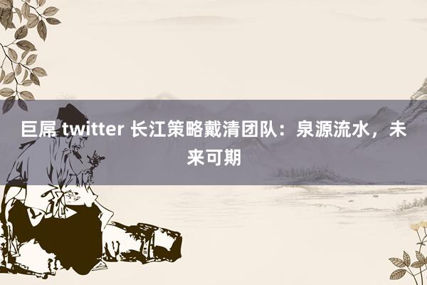 巨屌 twitter 长江策略戴清团队：泉源流水，未来可期