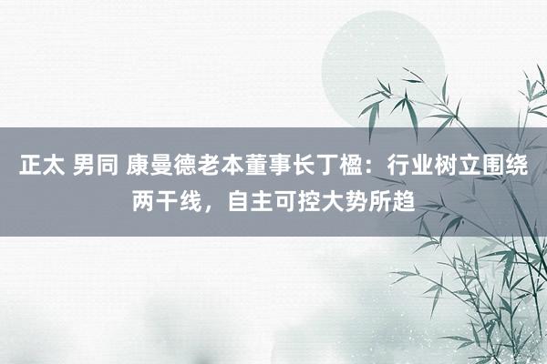 正太 男同 康曼德老本董事长丁楹：行业树立围绕两干线，自主可控大势所趋