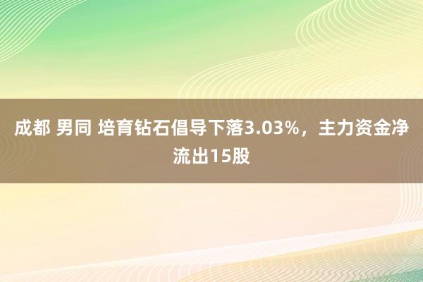 成都 男同 培育钻石倡导下落3.03%，主力资金净流出15股