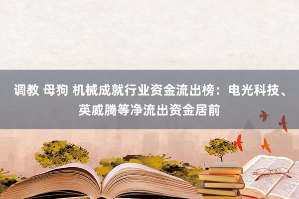 调教 母狗 机械成就行业资金流出榜：电光科技、英威腾等净流出资金居前