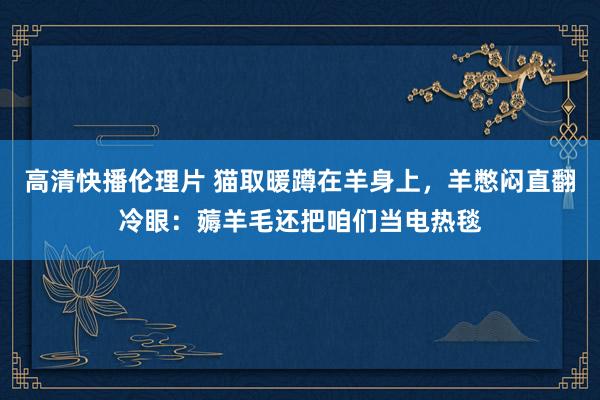 高清快播伦理片 猫取暖蹲在羊身上，羊憋闷直翻冷眼：薅羊毛还把咱们当电热毯