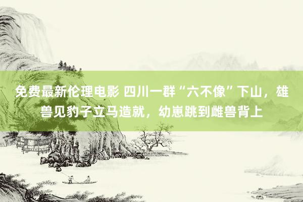 免费最新伦理电影 四川一群“六不像”下山，雄兽见豹子立马造就，幼崽跳到雌兽背上