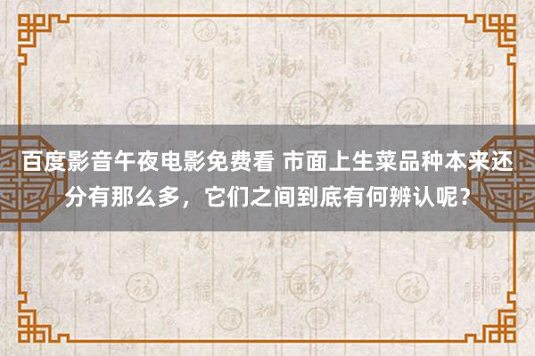百度影音午夜电影免费看 市面上生菜品种本来还分有那么多，它们之间到底有何辨认呢？