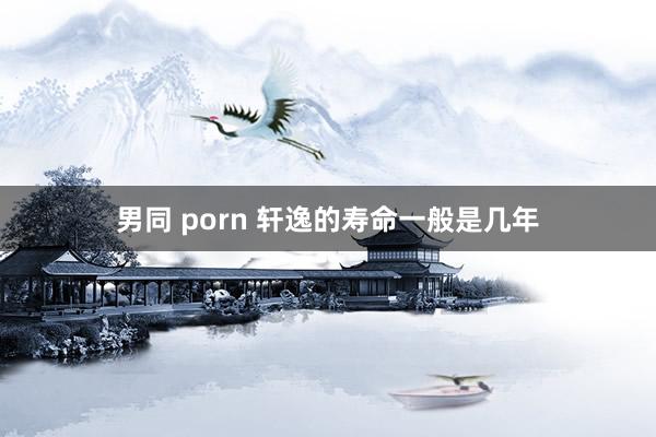 男同 porn 轩逸的寿命一般是几年