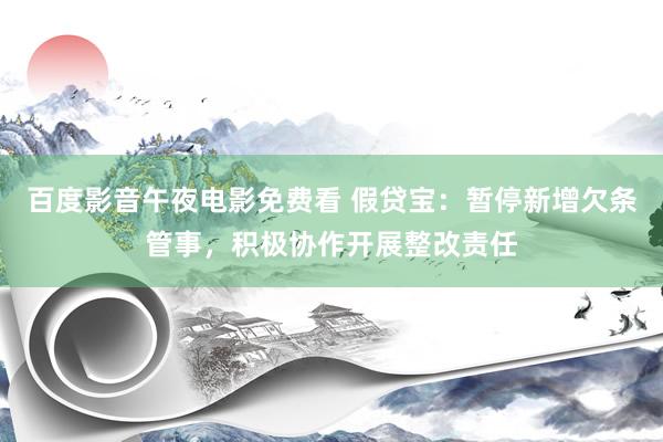 百度影音午夜电影免费看 假贷宝：暂停新增欠条管事，积极协作开展整改责任