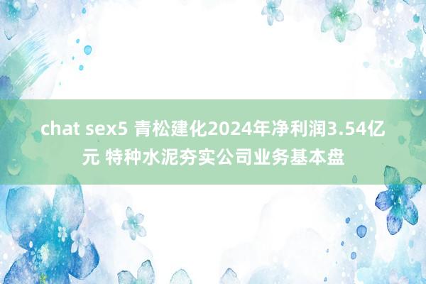 chat sex5 青松建化2024年净利润3.54亿元 特种水泥夯实公司业务基本盘