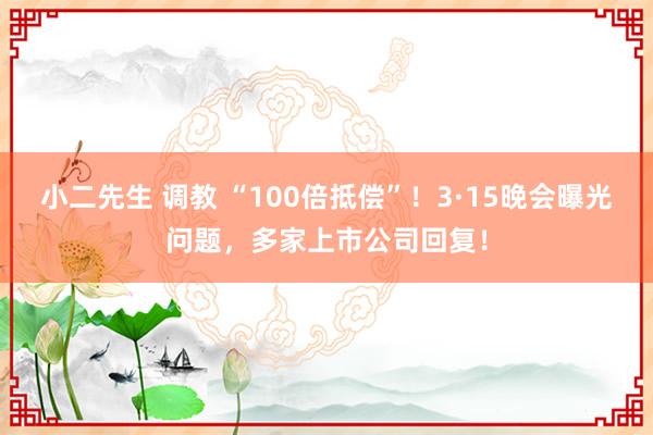 小二先生 调教 “100倍抵偿”！3·15晚会曝光问题，多家上市公司回复！