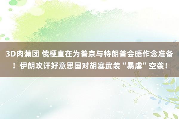 3D肉蒲团 俄梗直在为普京与特朗普会晤作念准备！伊朗攻讦好意思国对胡塞武装“暴虐”空袭！