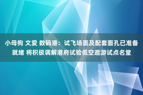 小母狗 文爱 数码港：试飞场面及配套面孔已准备就绪 将积极调解港府试验低空遨游试点名堂