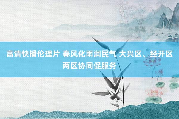 高清快播伦理片 春风化雨润民气 大兴区、经开区两区协同促服务