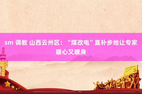 sm 调教 山西云州区：“煤改电”直补步地让专家暖心又暖身