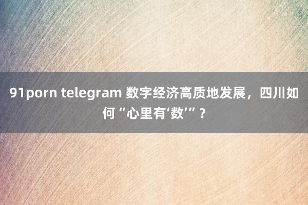 91porn telegram 数字经济高质地发展，四川如何“心里有‘数’”？