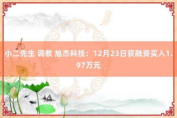 小二先生 调教 旭杰科技：12月23日获融资买入1.97万元