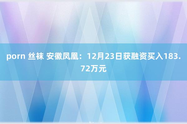 porn 丝袜 安徽凤凰：12月23日获融资买入183.72万元