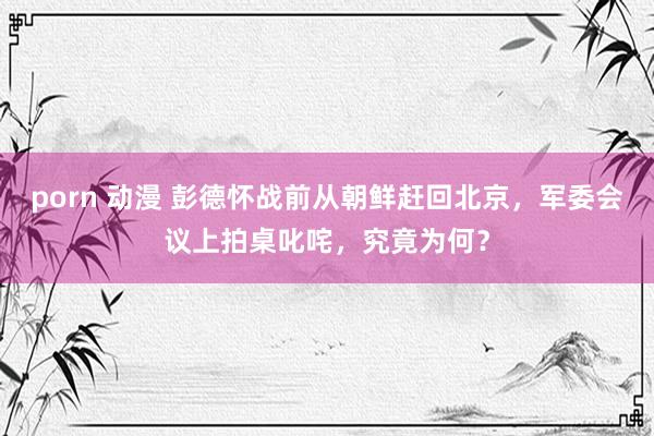 porn 动漫 彭德怀战前从朝鲜赶回北京，军委会议上拍桌叱咤，究竟为何？