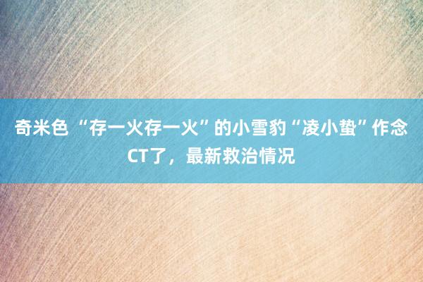 奇米色 “存一火存一火”的小雪豹“凌小蛰”作念CT了，最新救治情况