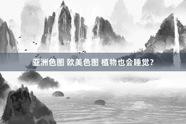亚洲色图 欧美色图 植物也会睡觉？
