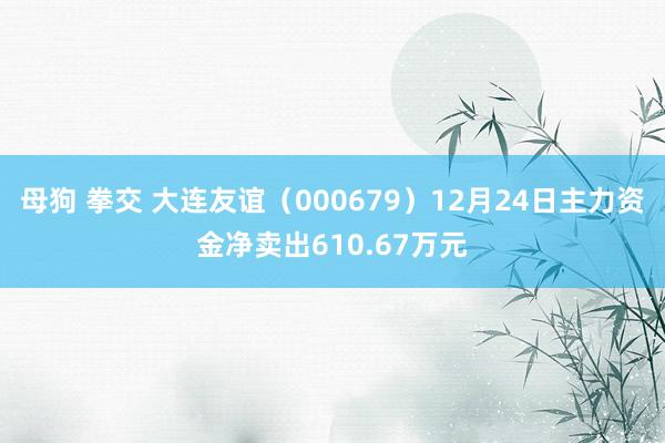 母狗 拳交 大连友谊（000679）12月24日主力资金净卖出610.67万元