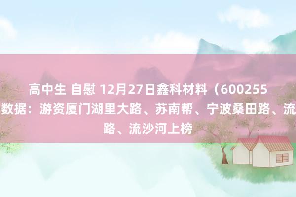 高中生 自慰 12月27日鑫科材料（600255）龙虎榜数据：游资厦门湖里大路、苏南帮、宁波桑田路、流沙河上榜