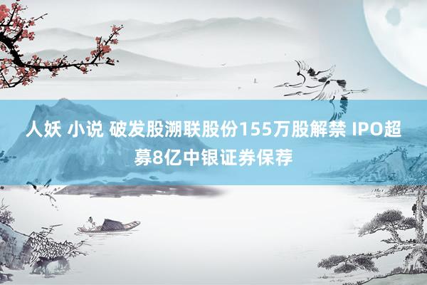 人妖 小说 破发股溯联股份155万股解禁 IPO超募8亿中银证券保荐