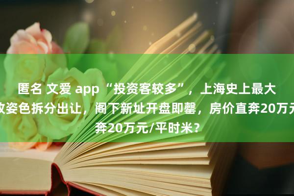 匿名 文爱 app “投资客较多”，上海史上最大单地块旧改姿色拆分出让，阁下新址开盘即罄，房价直奔20万元/平时米？